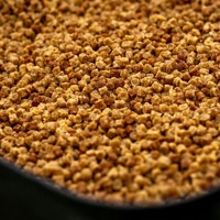 Mainline SK2 2mm Coarse Pellet 1kg